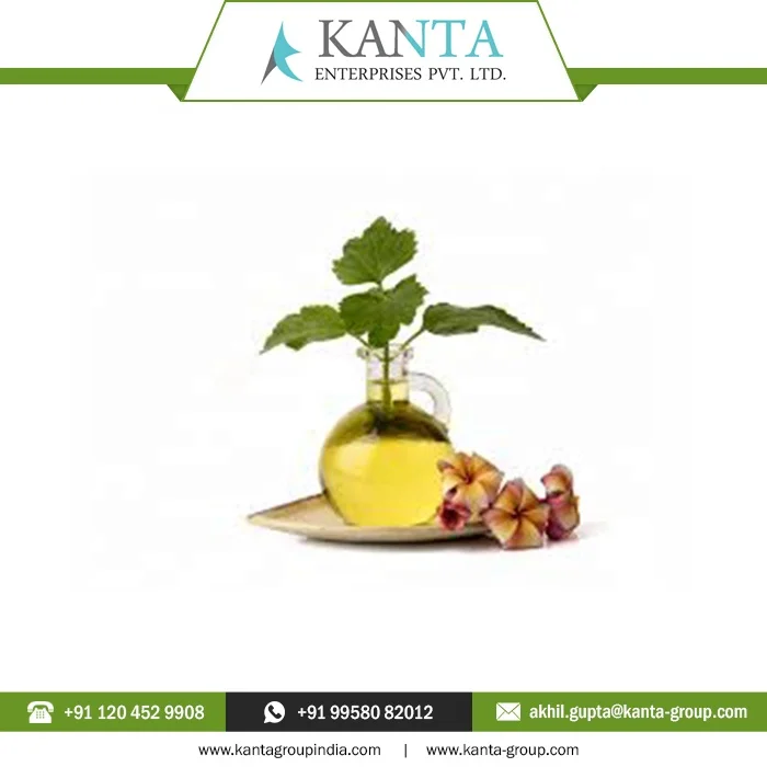 Private Label OEM / ODM Supply Organic and Natural Patchouli Essential Oil for Skin Care at Cheap Rates