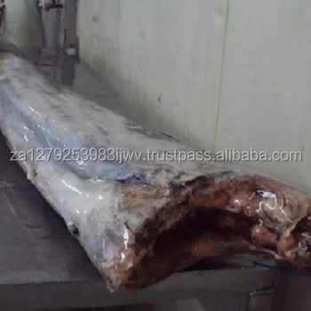
seafood of sailfish, frozen sailfish,High Quality Frozen Indo-Pacific Sailfish 