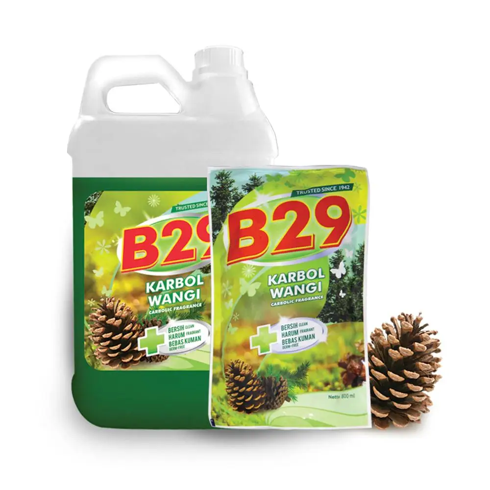 
 Карбоновый ароматизатор B29, мощное дезинфицирующее средство для устранения всех микробов  