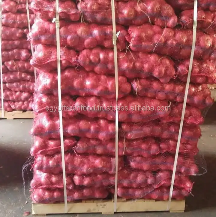 Red onion mesh bag 25Kg , fresh crop 2020 from Egypt , best price