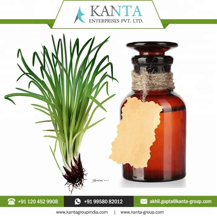 2024 Best Price Private Labeling India Supplier Vetiver Essential Oil at Cheap Rates Available