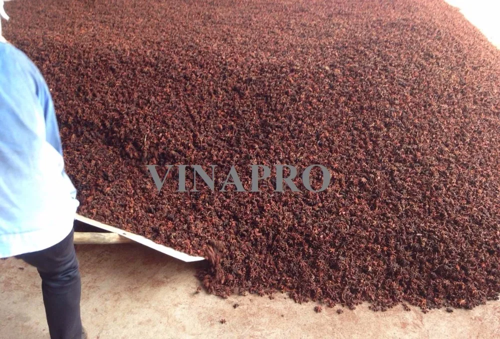 Звездный анис