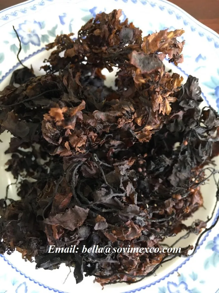 Sargassum seaweed_organic fertilizer in viet nam