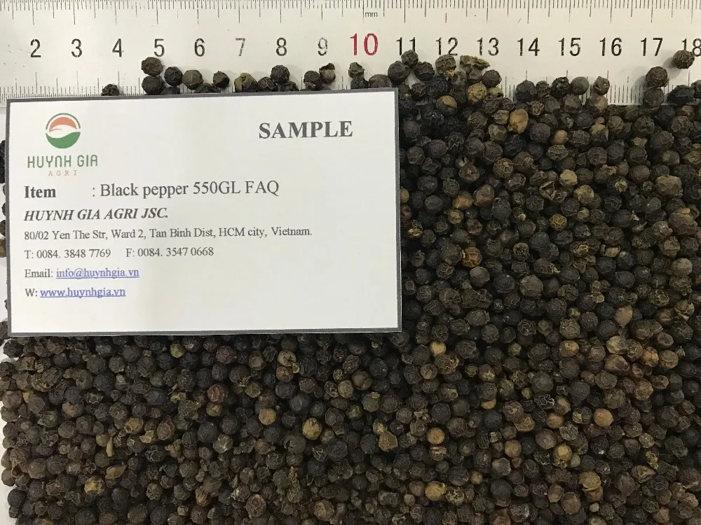 High Quality 50KG Vacuum Packed Vietnam Fresh Hand-Picked Black Pepper 550 GL/L From HUYNHGIA Manufacturer