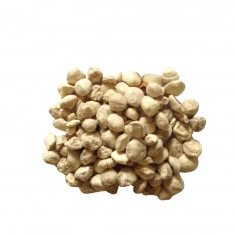 
India organic natural dried moringa seed 