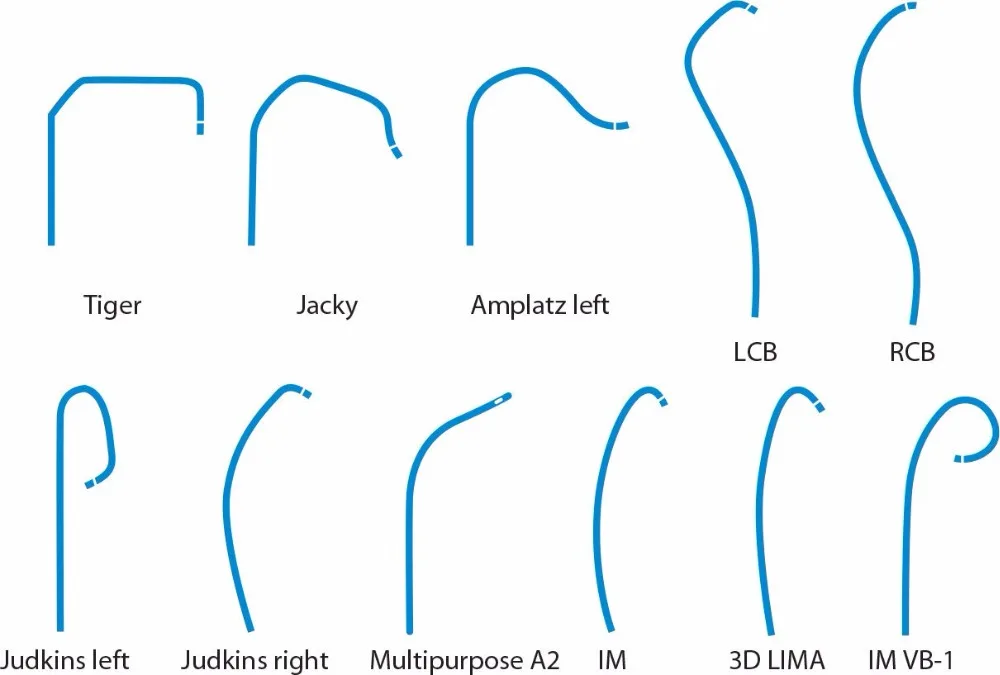 
Diagnostic Catheters 