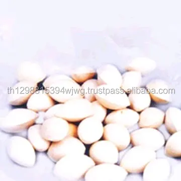 GOOD Dried shelled Ginkgo Nuts