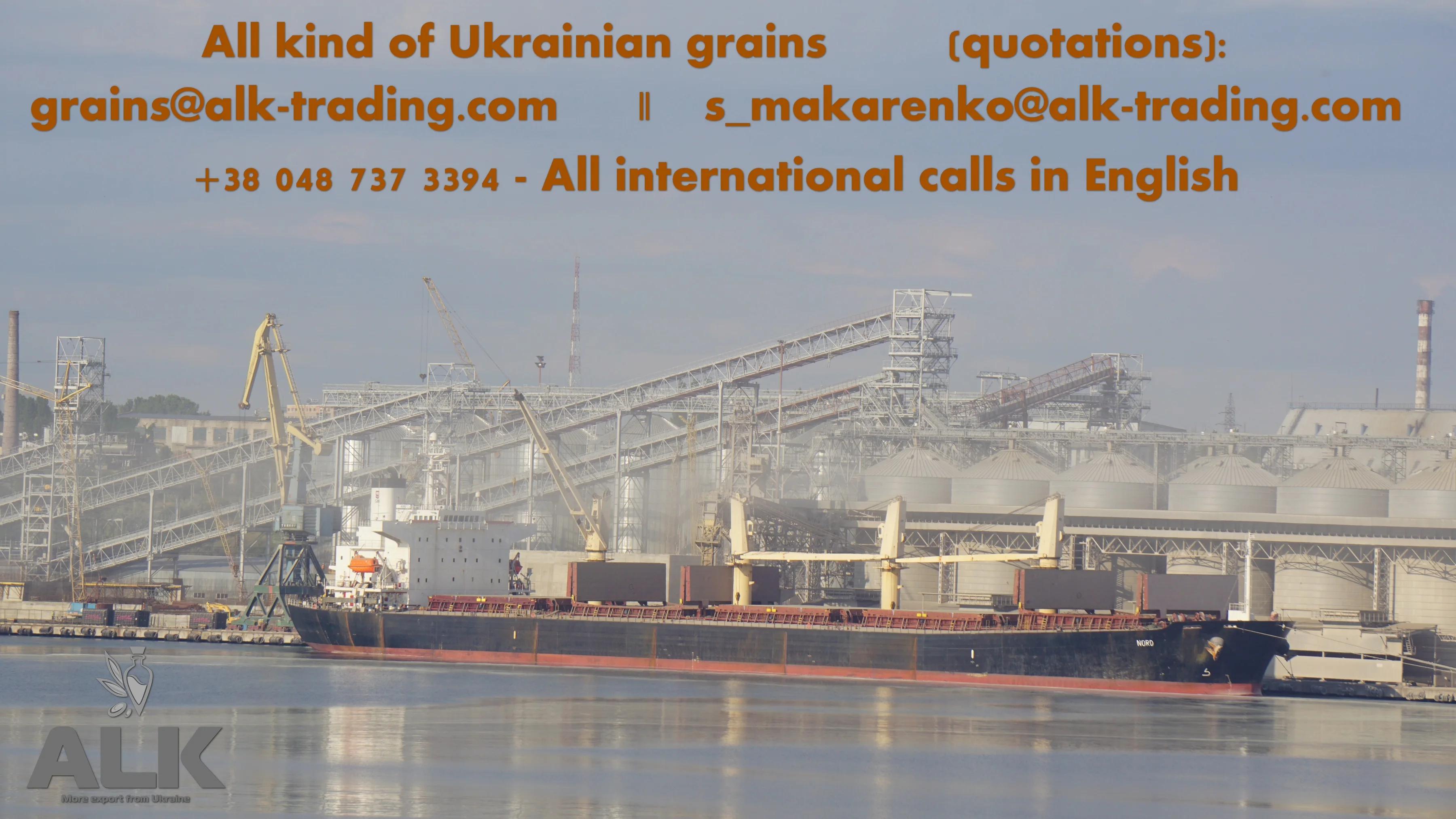 Ukranian-Лидер продаж желтый Кукуруза без ГМО