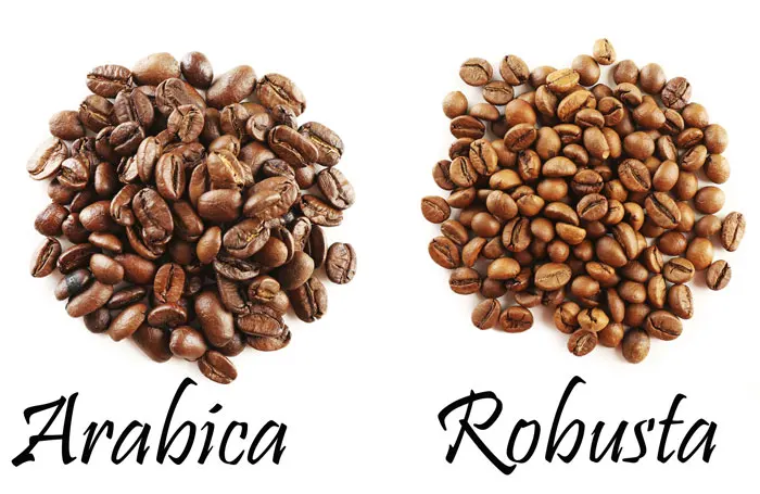 Premium Roasted Arabica / Robusta Coffee Beans - High quality green coffee bean export to EU, USA - Wholesale for coffee bean