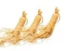 High-quality Ginseng Root Extract