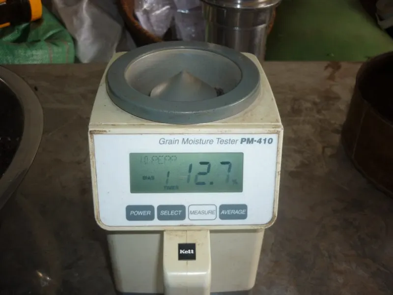 FINDING BLACK PEPPER BUYERS - Whatsapp (+84)946129967 - ms.April