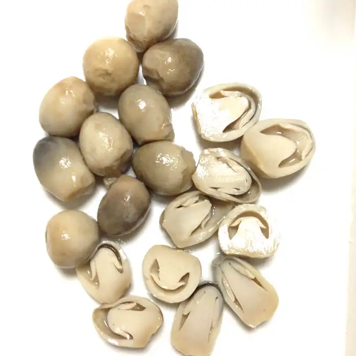 WHOLESALE FRESH STRAW MUSHROOM IN BULK (Whatsapp: +84 845 639 639) in 2021
