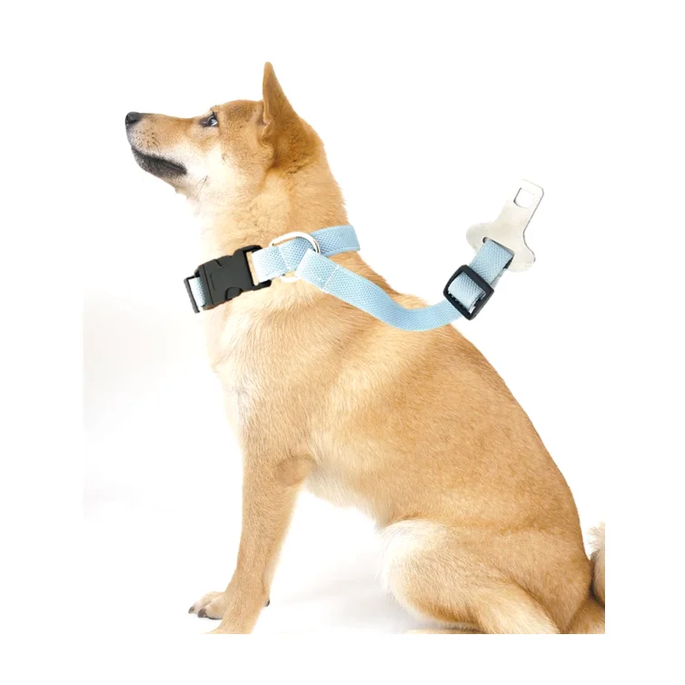 
hot sale pet collars wholesale custom dog harness 