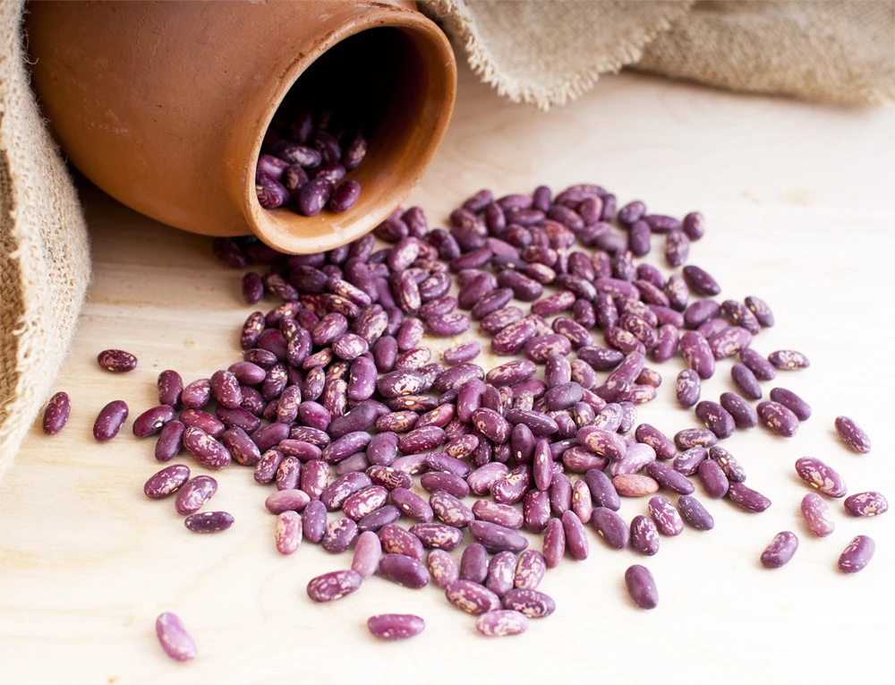 haricot beans, kidney beans natural beans from Uzbekistan