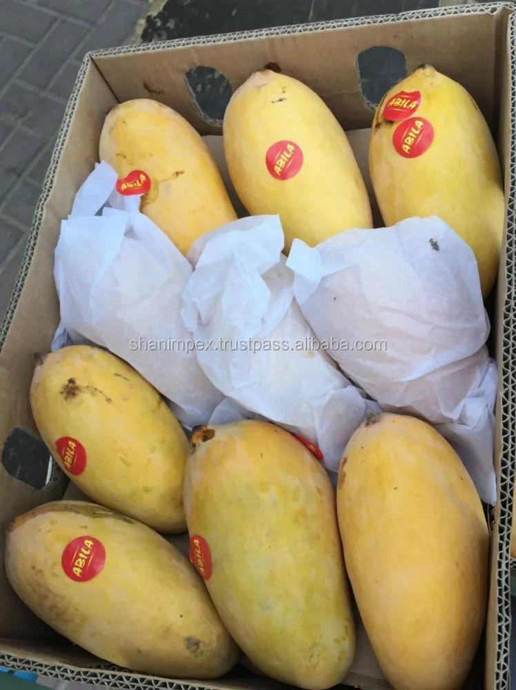
Pakistani Mango Fresh Sindhri Chaunsa 