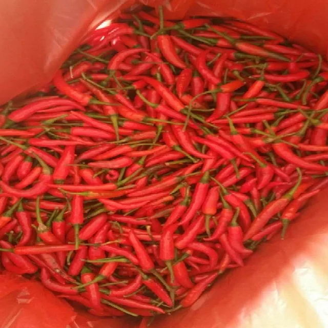 Wholesale Hot Pepper Frozen Red Chilli