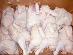 
Frozen chicken feet supplier Asia 