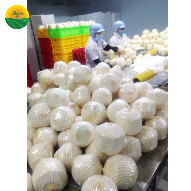 GLOBAL GAP COCONUT FOR STRICT MARKET