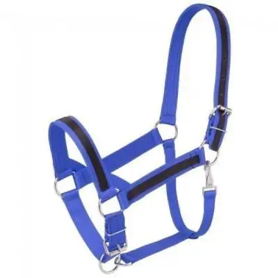 
Tough 1 Blue Nylon Economy Halter Horse Tack Equine 