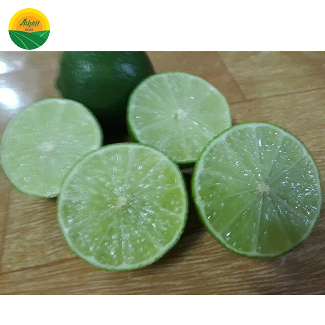 LOW PRICE - SOUR SEEDLESS LEMON FROM VIET NAM