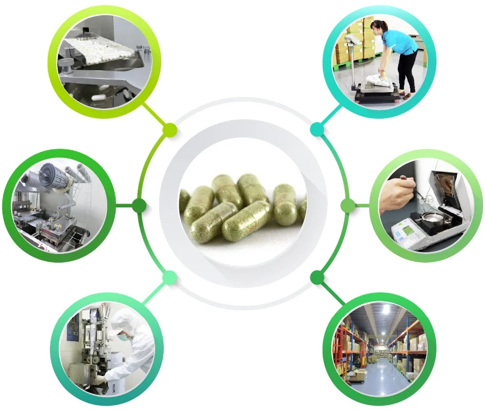 Capsule Whole woman care anti-allergy  digestion  TH1 TH2  probiotic sachet