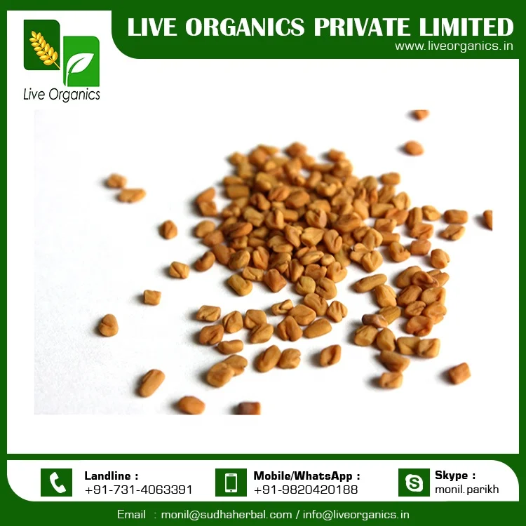 
Fenugreek Seeds from India 