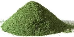 Moringa In India Wholesale | Moringa Suppliers- - Whatsapp: +91 73580 94554