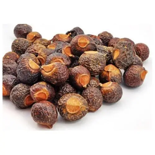 Dried Soap Nuts  saponin whatsapp  0084 845639639 (50036108419)