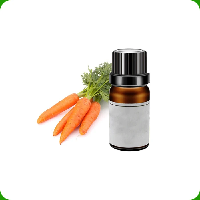 Hot Selling 100% Pure Organic Carrot Seed Essential Oil gives antimicrobial protection to skin and health available Lowest Price