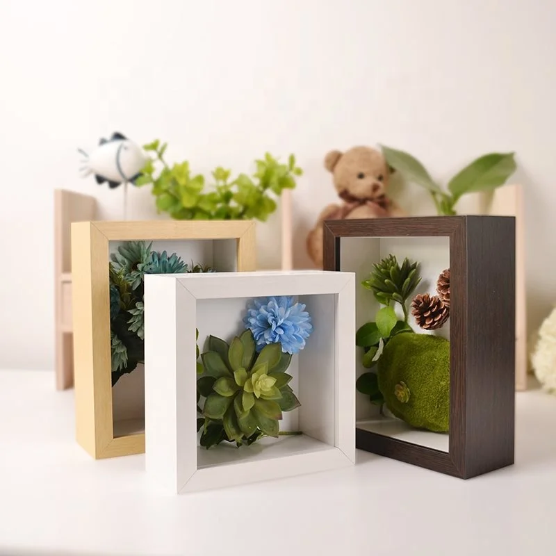plastic square box 6x6 shadow box with plant
