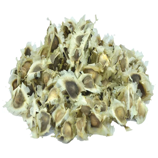 Ben seeds with good quality from Indian suppliers and in bulk quantity