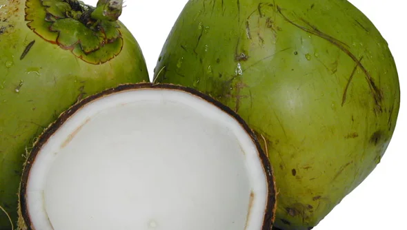 WHOLESALE FRESH YOUNG COCONUT (Diamond shape)