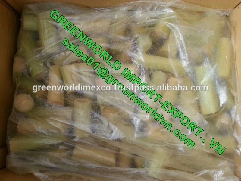 Frozen sugarcane with amazing taste from Vietnam with competitive price