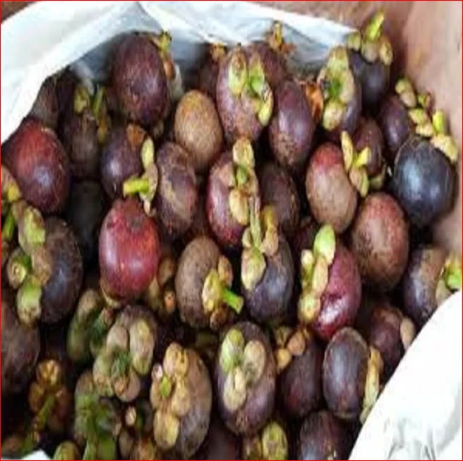 Mangosteens fresh fruit