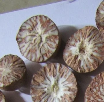 Поставщик betel nut chew