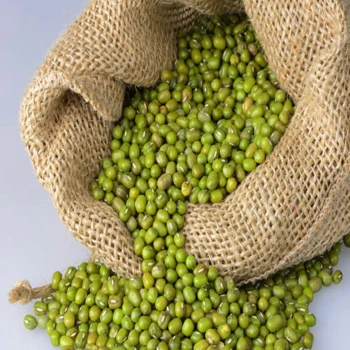 
Green Mung Beans Vigna radiata Red Ruby 