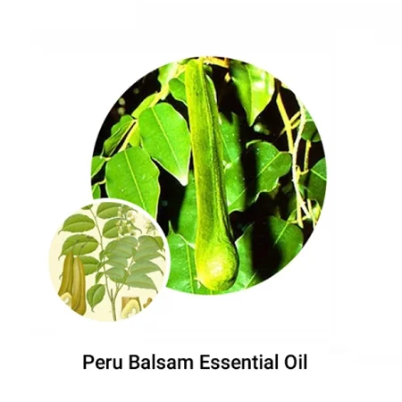 Peru Balsam Oil 100% Natural for Body Massage & Aromatherapy Premium Grade Essential Oil Organization