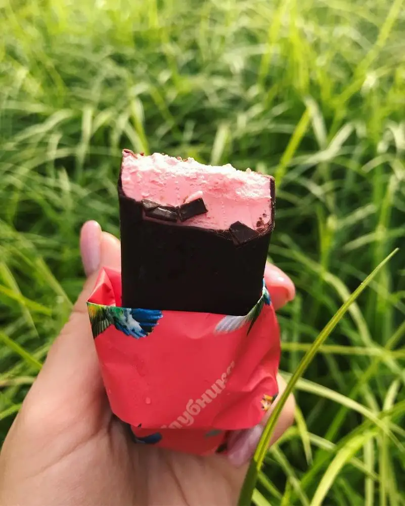 
Vanilla ice cream-souffle in chocolate coating Royal bird 