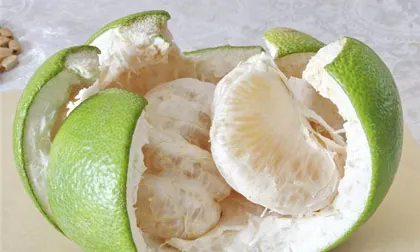 HIGHT QUALITY DRIED GRAPEFRUIT FROM VIETNAM (WHATSAPP+84-845-639-639)