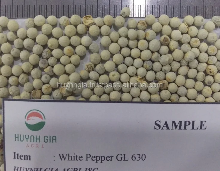 High Quality Good Price Spices And Ingredients Vacuum Packed Vietnam White Pepper Whole For Cooking And Culinary