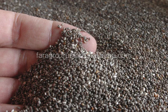 Идеальные органические семена ЧИА по оптовой цене от производителя