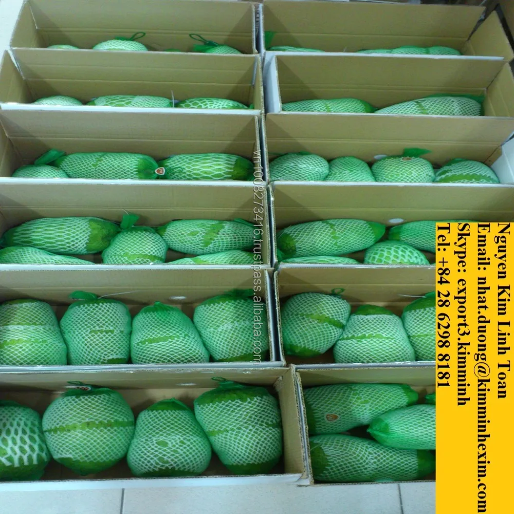FRESH SOURSOP FRUIT (GRAVIOLA)