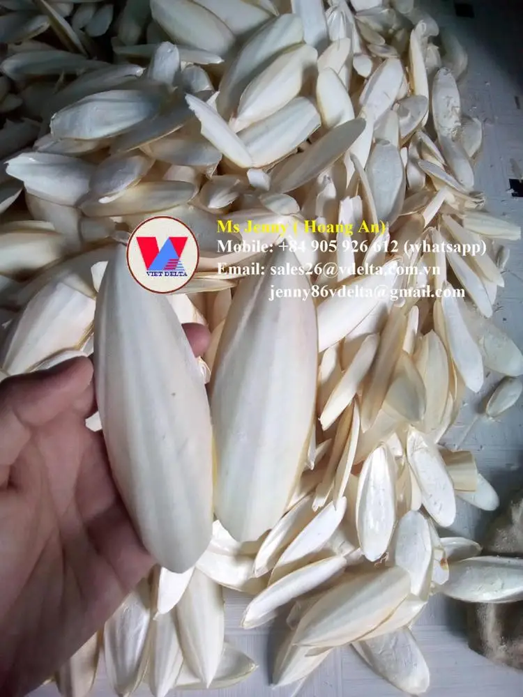 PET FOOD/ BIRD FOOD/ CUTTLEFISH BONE HIGH QUALITY (Jenny +84 905 926 612)