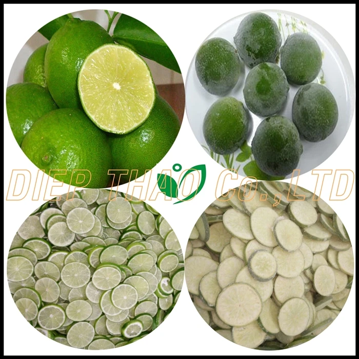 Supplier lemon seedless from vietnam with best quality/ rich vitamins/ much lemonade/