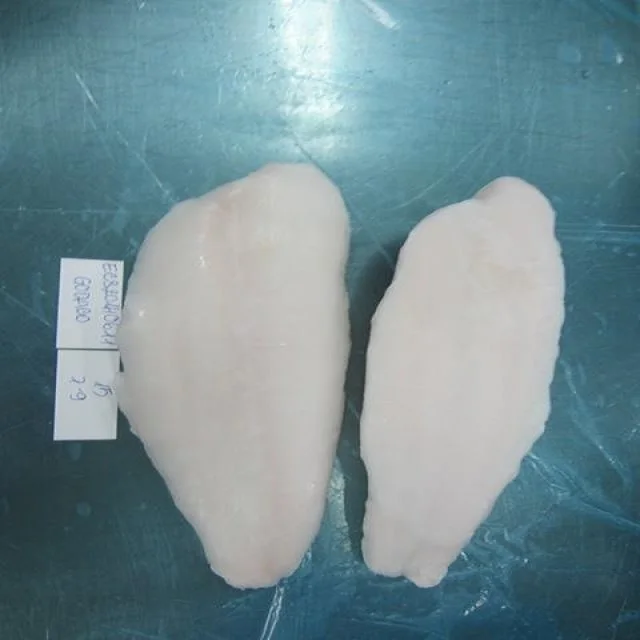 
PANGASIUS FISH - VIETNAM 