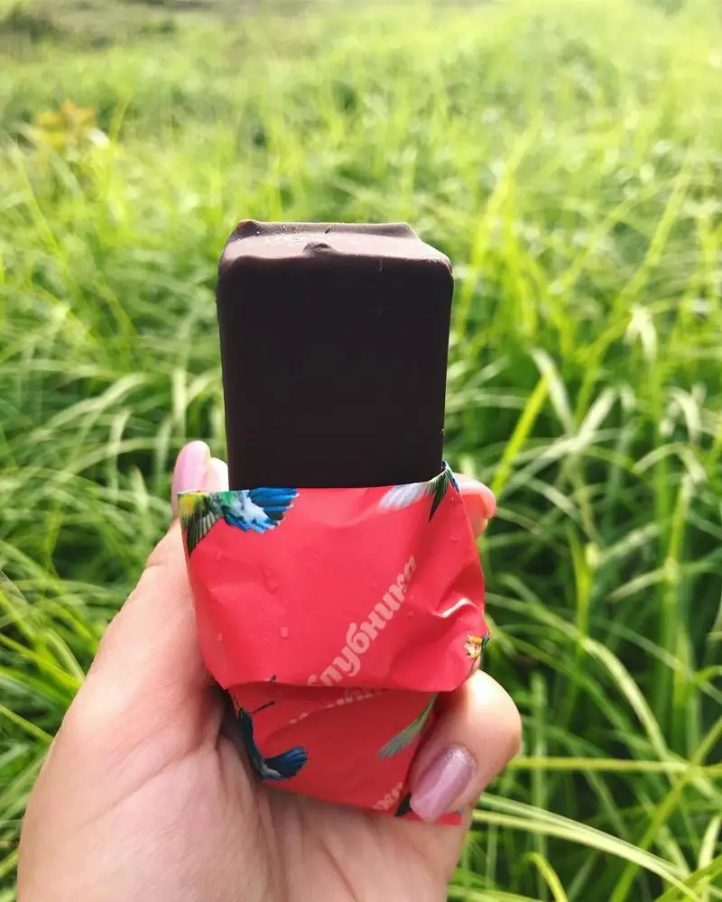 
Vanilla ice cream-souffle in chocolate coating Royal bird 