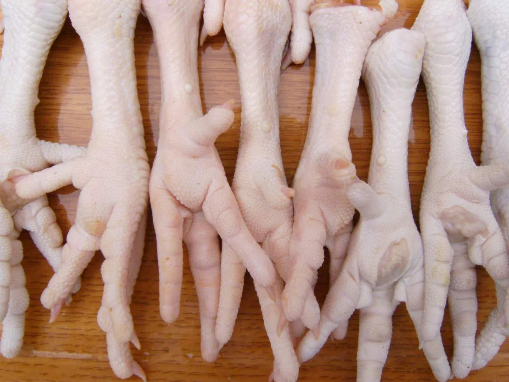 BRAZILIAN HALAL FROZEN WHOLE CHICKEN SUPPLIERS