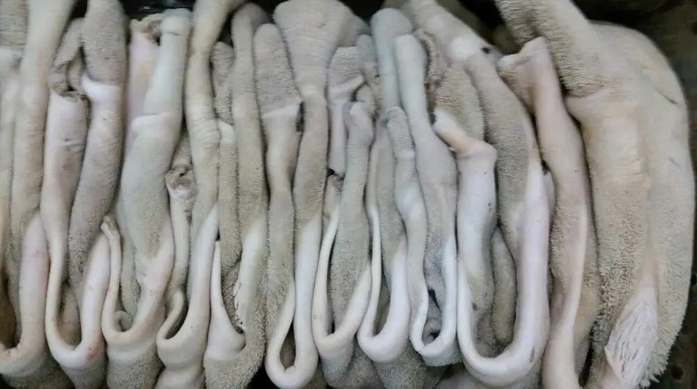 Beef Frozen Tripe Wholesale Prices Beef Meat Tripe