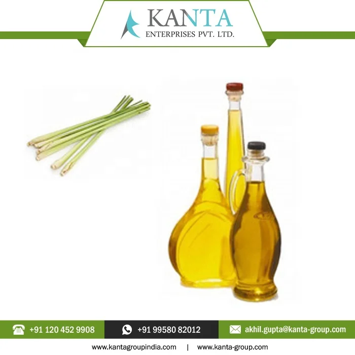 Factory Supply Pure Citronella Java Oil For Health Care available bulk at Affordable Price in India