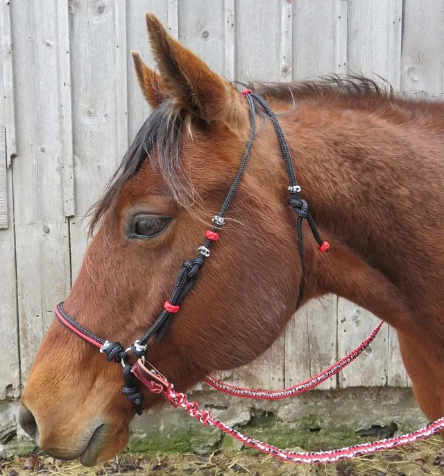 Manufacturer and Exporter of Horse Rope Bridle